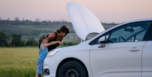 En vídeo: los 10 Mandamientos para viajar por carretera