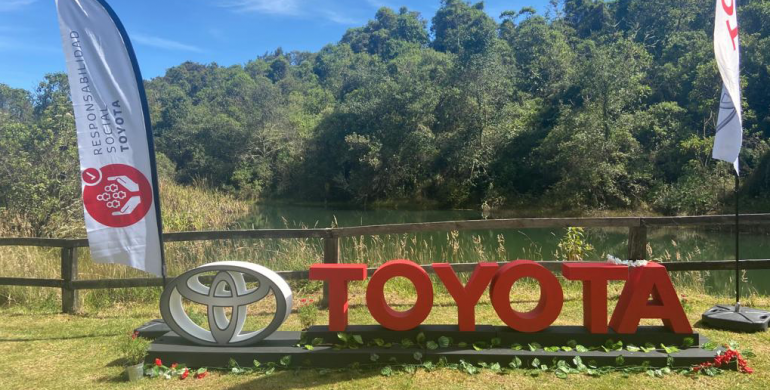 Toyota mantiene su apuesta por la reforestación