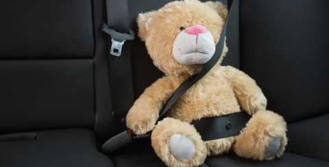 Cinturón de seguridad: ¿lo deben usar también los pasajeros?